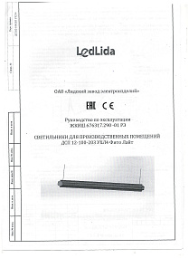 Светодиодный светильник ДСП 12-100-203 Фито Лайт