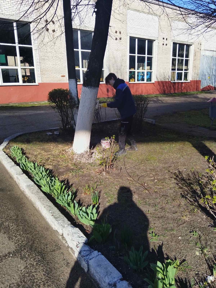 Изображение 8